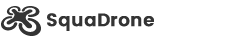 https://caliperdrones.com/wp-content/uploads/2018/01/logo-black-footer.png